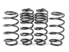 GTI Sport Spring Set