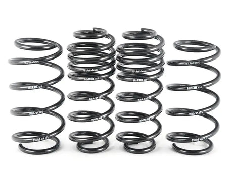 GTI Sport Spring Set