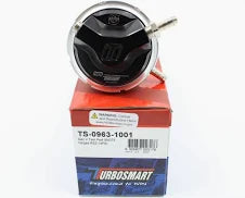 TURBOSMART AUDI DAZA/DNWA Dual-Port IWG
